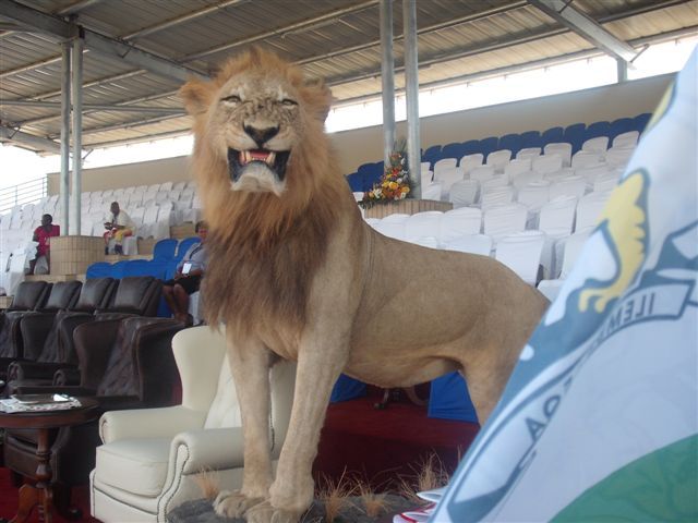 Willies Tourism — Zululand moment 28