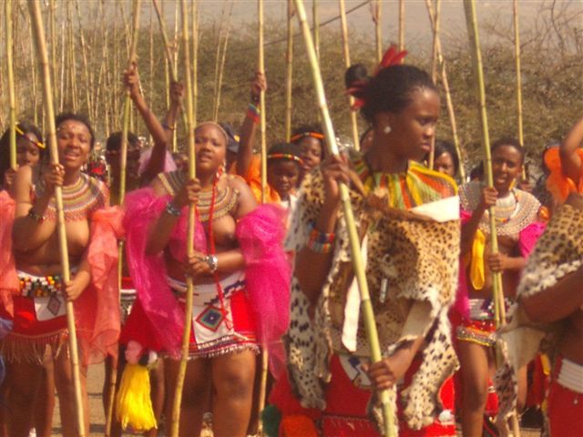 Willies Tourism — Zululand moment 26